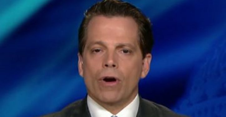 Scaramucci goes after White House leaks again: ‘Fish stinks from the head down’
