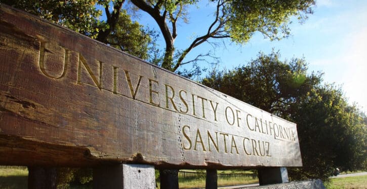 University Professors Beg For Return Of Standardized Tests As Students Can’t Do Basic Math