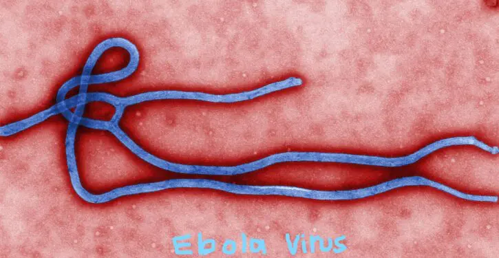 Ebola outbreak is happening again