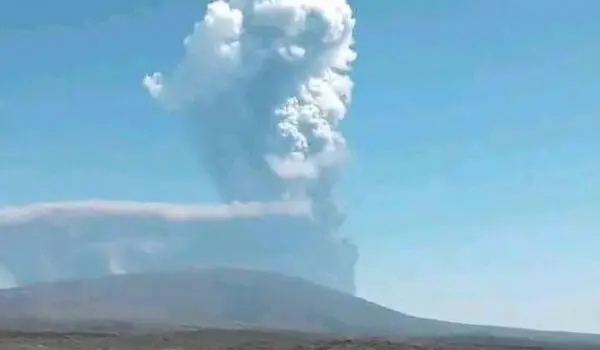 Volcano erupts, making animals starve and forcing flight cancellations by LU Staff