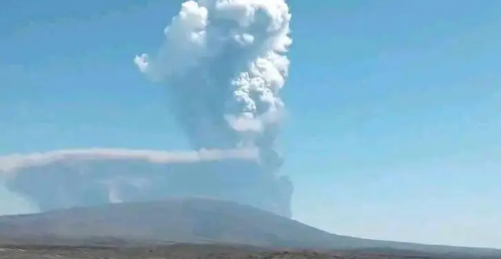 Volcano erupts, making animals starve and forcing flight cancellations