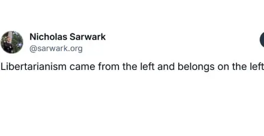Nicholas Sarwark’s faction lost control of the Libertarian Party because he took leftist positions and said Libertarianism is leftist by James Williams