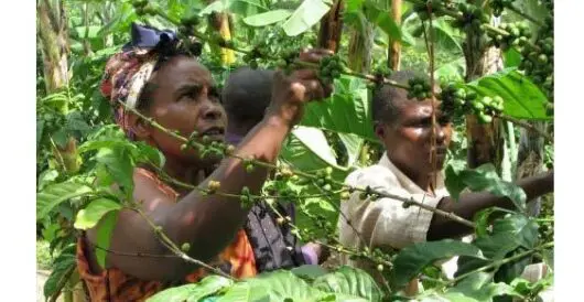 16 die of starvation, but regenerative agriculture saves others by Hans Bader