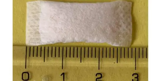 What The FDA’s Latest Ruling Could Mean For Future Of Nicotine Pouches by Daily Caller News Foundation