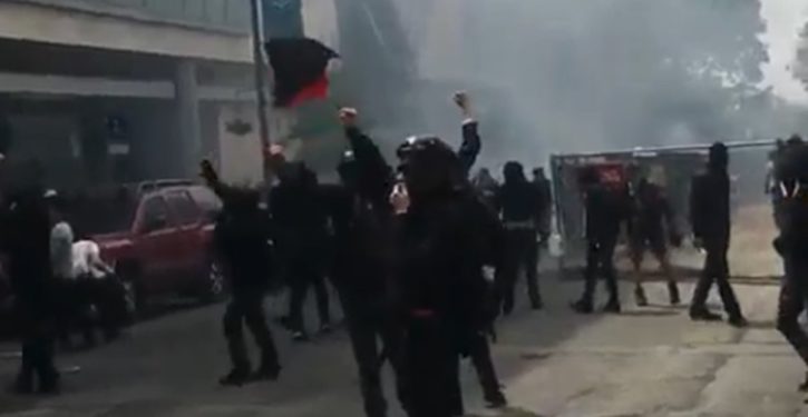 Berkeley cops post mug shots of Antifa rioters; liberals freak out