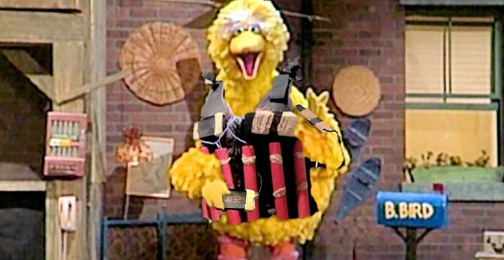 Defund PBS. Stop hiding a radical, pro-jihad agenda behind Big Bird