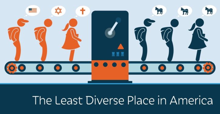 Prominent diversity consulting firm funded entirely by taxpayer dollars