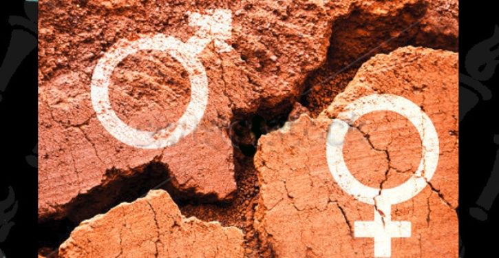 Hot new moonbat trend: Raising ‘theybies’ – kids who can choose their own gender