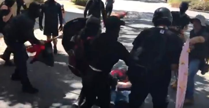 Berkeley police say letting Antifa beat up reporters, protesters ‘forestalled greater violence’