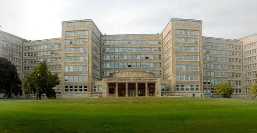 German Mayor Allegedly Set On Fire, Stabbed 13 Times By African-Born Adopted Daughter by Daily Caller News Foundation