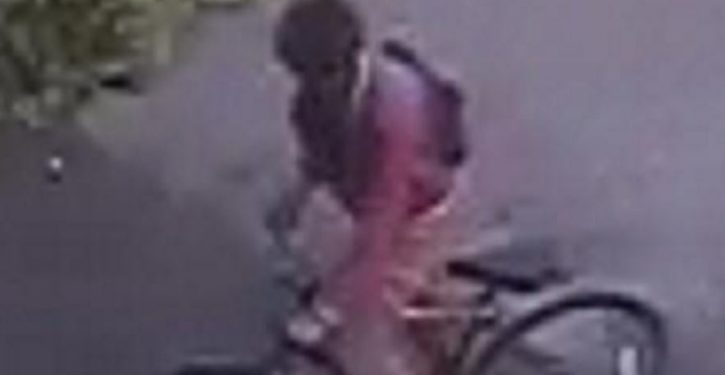 Girl, 14, raped in ‘horrendous’ broad daylight attack in London park