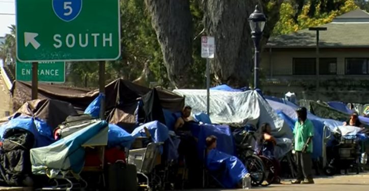 35 tons of garbage, including 700 lbs of human waste, removed from L.A. homeless camp