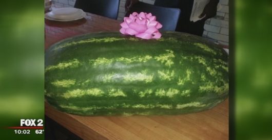 Scientists grow watermelons during Antartica’s bitterly cold winter by LU Staff