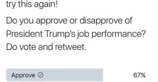 Black Lives Matter conducts a Trump approval poll: Hilarity ensues by Thomas Madison