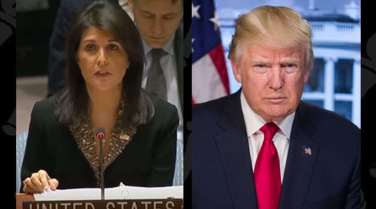 Source: Trump reportedly declines meeting at Mar-a-Lago requested by Nikki Haley