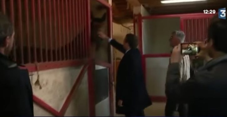 Jupiterian President Macron of France brings gift horse to China’s Xi for visit