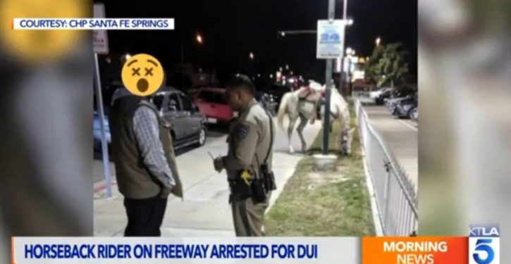 Man arrested for horseback DUI on freeway in Long Beach