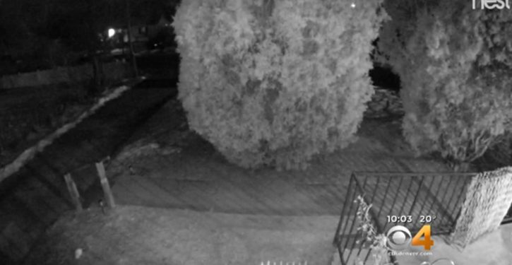 Colorado: Another mystery boom