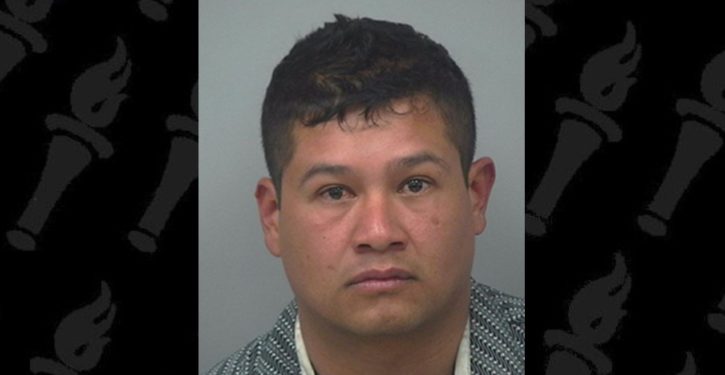Georgia: Illegal held for force-feeding cocaine, whiskey to a goat