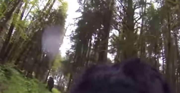 Oklahoma lawmaker seeks ‘Bigfoot hunting season’ as money-maker for state