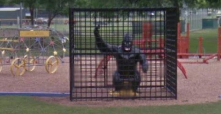Gorilla statue in playground removed after complaints it was ‘racially insensitive’