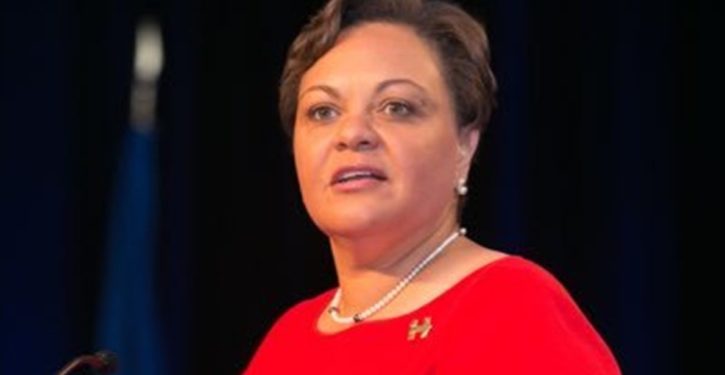 Vice chair of the DNC tweets ‘Repeal the Second Amendment’