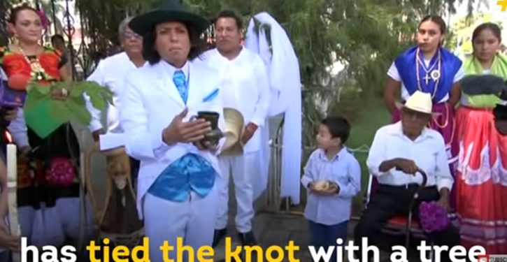 Mexico: People marry trees in group ceremony in Oaxaca