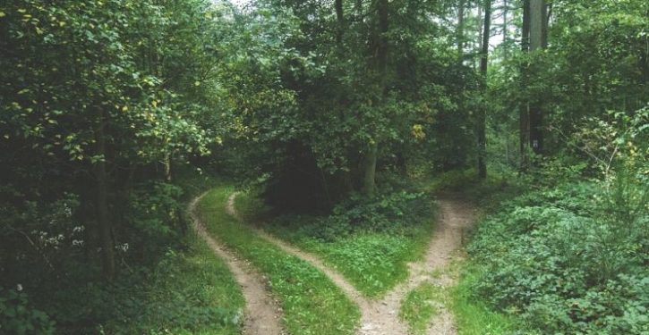 The world is getting greener. Why does no one want to know?