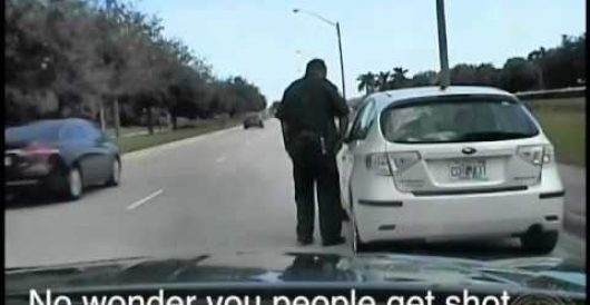 Driver pulled over for speeding tells traffic cop: ‘No wonder you people get shot’ by Howard Portnoy