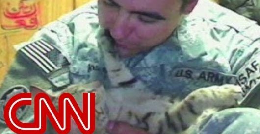 Simon: The most decorated military cat in history (Video) by J.E. Dyer