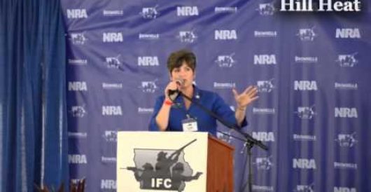 Left-wing media in conveniently timed meltdown over Joni Ernst gun comment from 2012 (Video) by J.E. Dyer