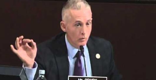 Trey Gowdy: Clinton State Department didn’t follow security recommendations by Michael Dorstewitz