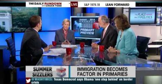 MSNBC: Border crisis another ‘crisis of competence’ for Obama by LU Staff