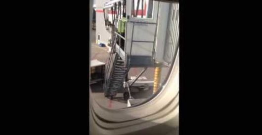 Baggage handlers caught on video tossing bags by LU Staff
