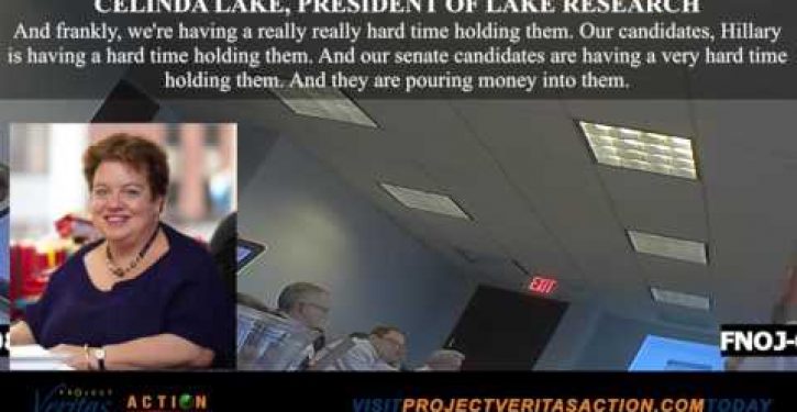 Project Veritas: Democratic operative urges union leaders to lie to voters to get Hillary elected