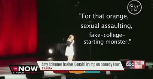 Watch what happens when ‘comedian’ Amy Schumer ridicules Donald Trump while on stage by Deneen Borelli