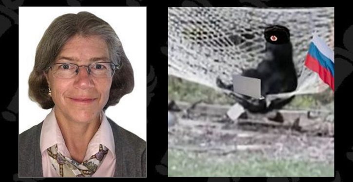 Change of narrative: Nellie Ohr and the deep dive back into 2015