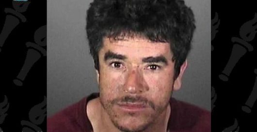 According to ICE, San Diego chainsaw attacker is illegal alien who has been deported 11 times by Daily Caller News Foundation