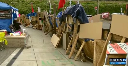 Portland ICE protesters put up border wall at tent camp, set guards, shout racial slurs at cops by LU Staff