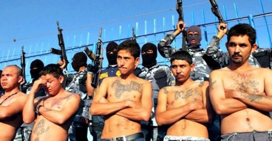 Former MS-13 member says ‘Trump is right’; there are MS-13 criminals hiding in the caravan by LU Staff