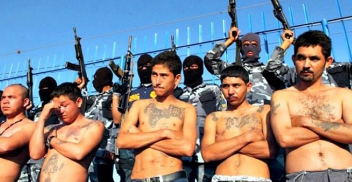 Former MS-13 member says ‘Trump is right’; there are MS-13 criminals hiding in the caravan