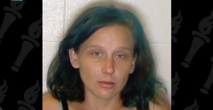 Former gun control candidate charged with shooting her campaign treasurer