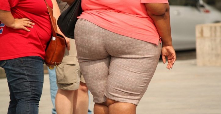 Government spends millions to make Americans fatter, less fit