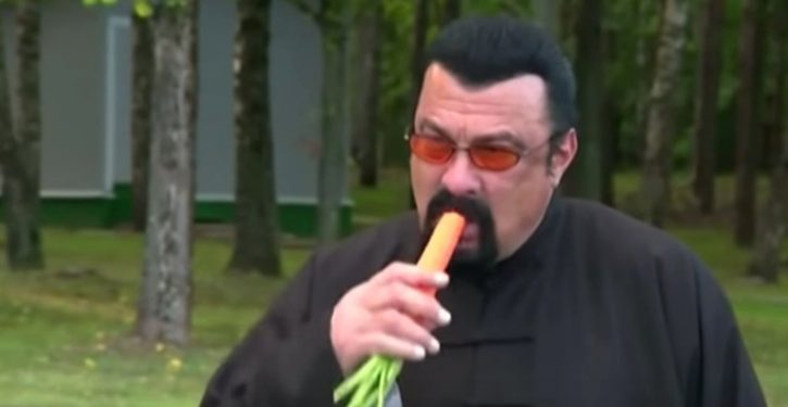 Russia appoints Steven Seagal as special envoy to U.S. for humanitarian ties