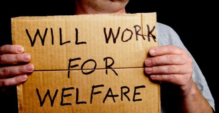 Almost two thirds of non-citizens are on welfare