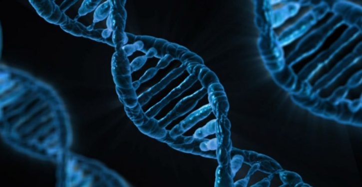 Scientists discover new part of the immune system — a potential source of new antibiotics