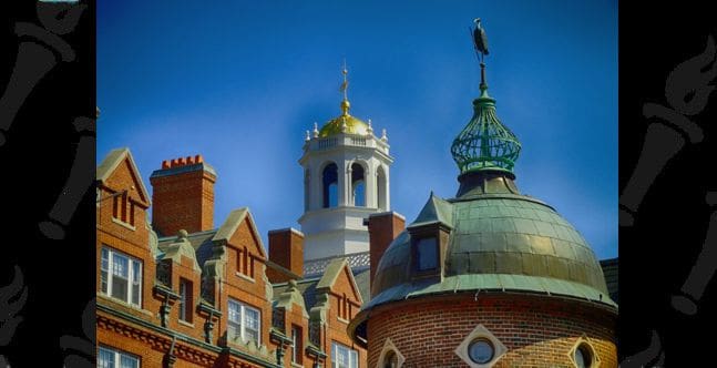 Harvard is infested with mice and rats. One defecated in a student's ...
