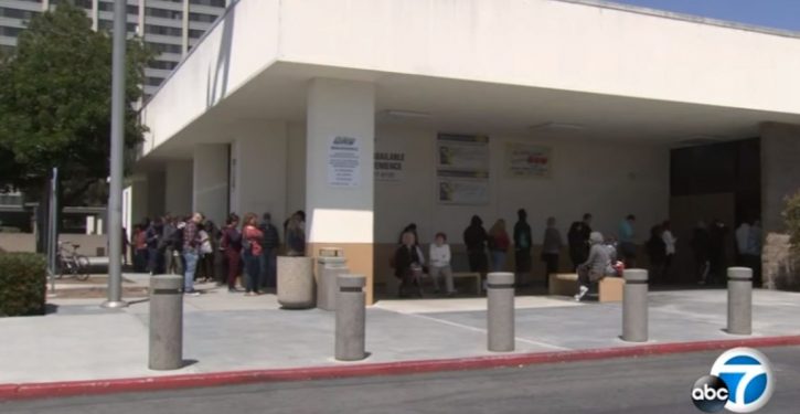 DHS chief orders review of state laws allowing driver’s licenses for illegal aliens