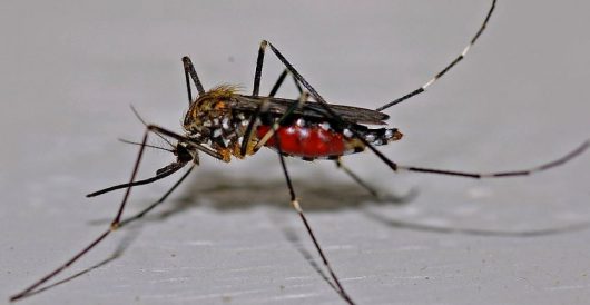 Malaria reported in Maryland near Washington, DC by Hans Bader