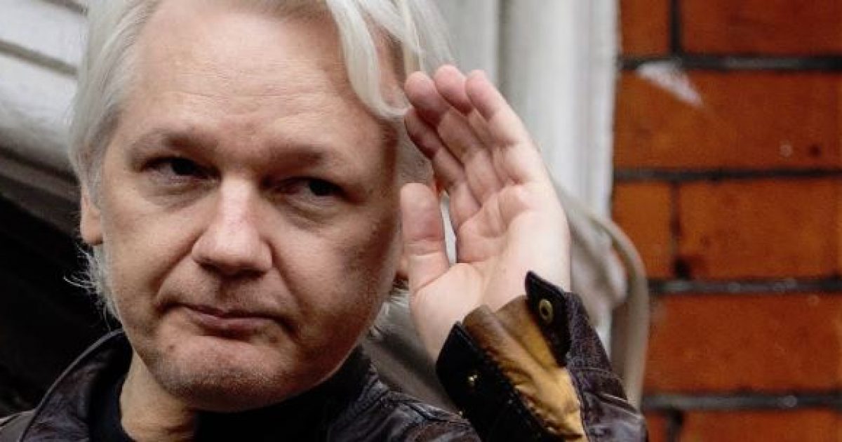 Assange conspiracy essays